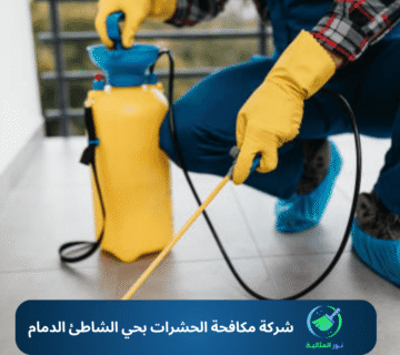 شركة مكافحة الحشرات بحي الشاطئ الدمام