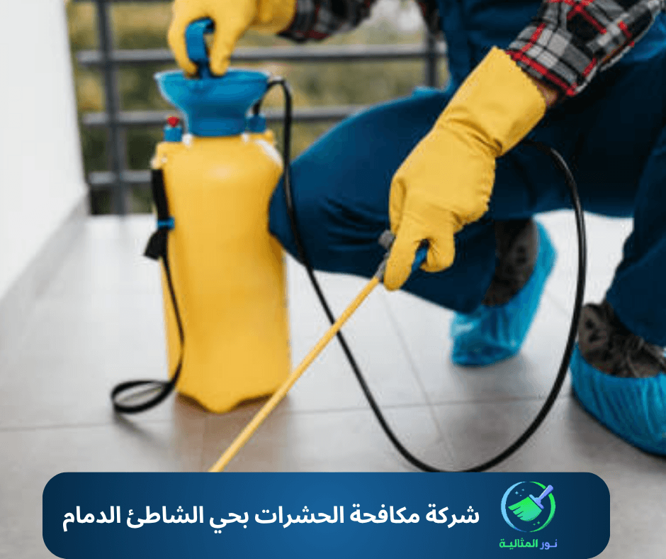 شركة مكافحة الحشرات بحي الشاطئ الدمام