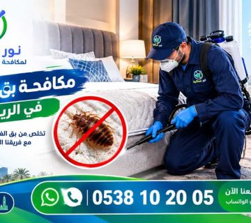 فحص المرتبة للكشف عن بق الفراش بالرياض