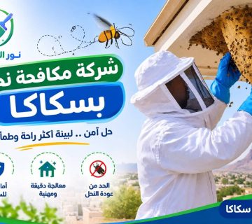 معالجة تجمع النحل وإزالة أسباب عودته بالقرب من المباني
