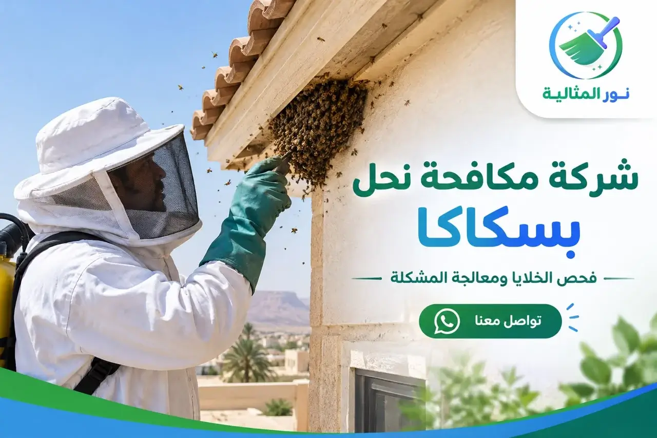 عامل مختص يفحص خلية نحل بالقرب من سطح أحد المباني في سكاكا