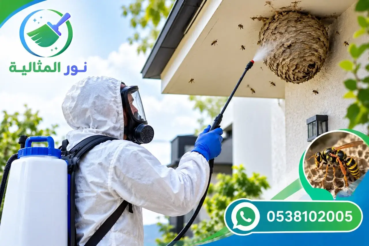 شركة مكافحة نحل بسكاكا لفحص تجمعات النحل بالقرب من المنازل
