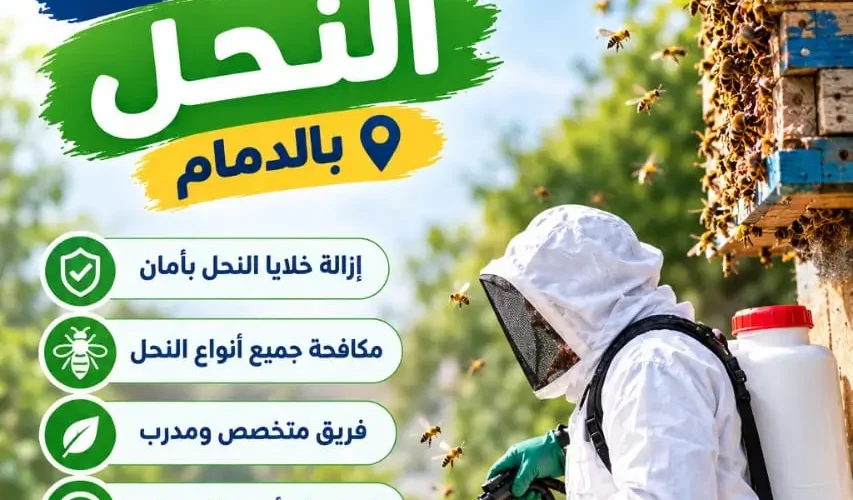 إعلان شركة نور المثالية لمكافحة النحل بالدمام وإزالة خلايا النحل بأمان مع فريق متخصص واستخدام أحدث المعدات 